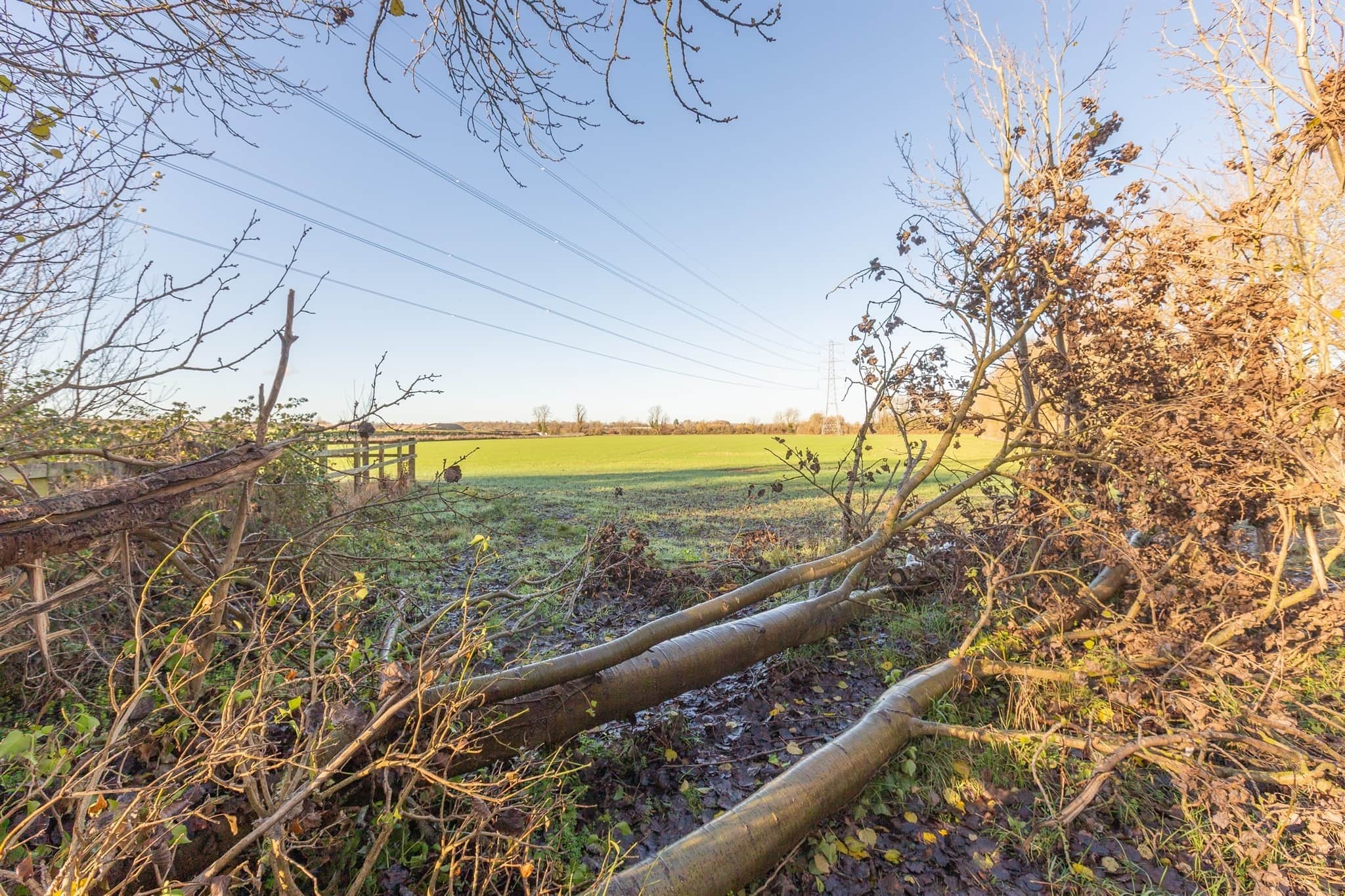 Property at Oat Close, Aylesbury