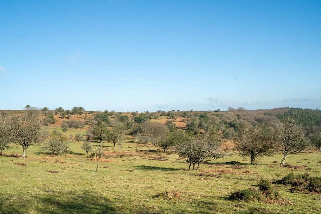 Property at Luxton Way, Wiveliscombe, Taunton