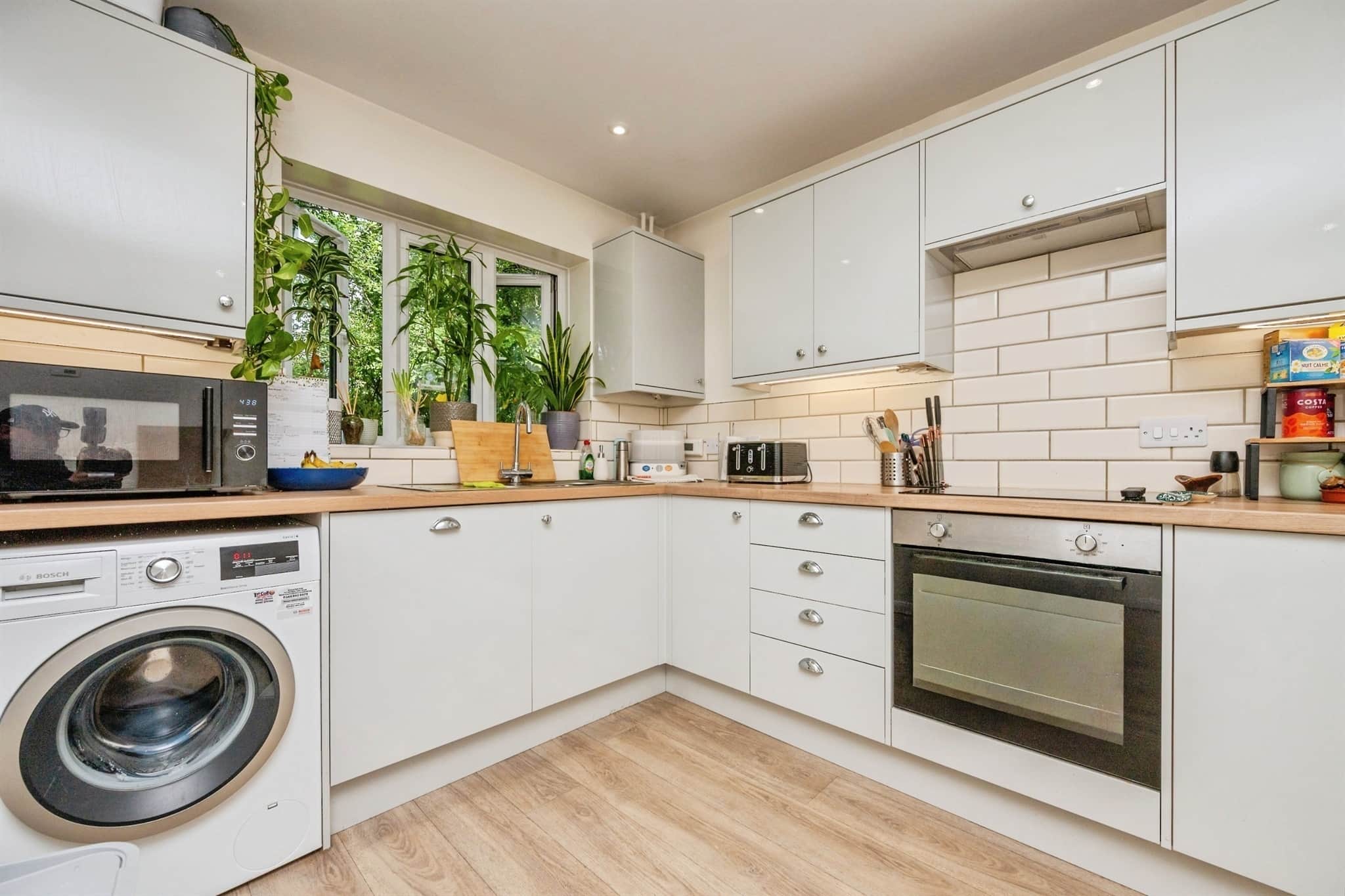 Property at Haines Avenue, Worcester