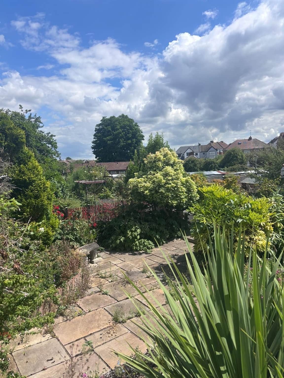 Property at Haig Avenue, Rochester