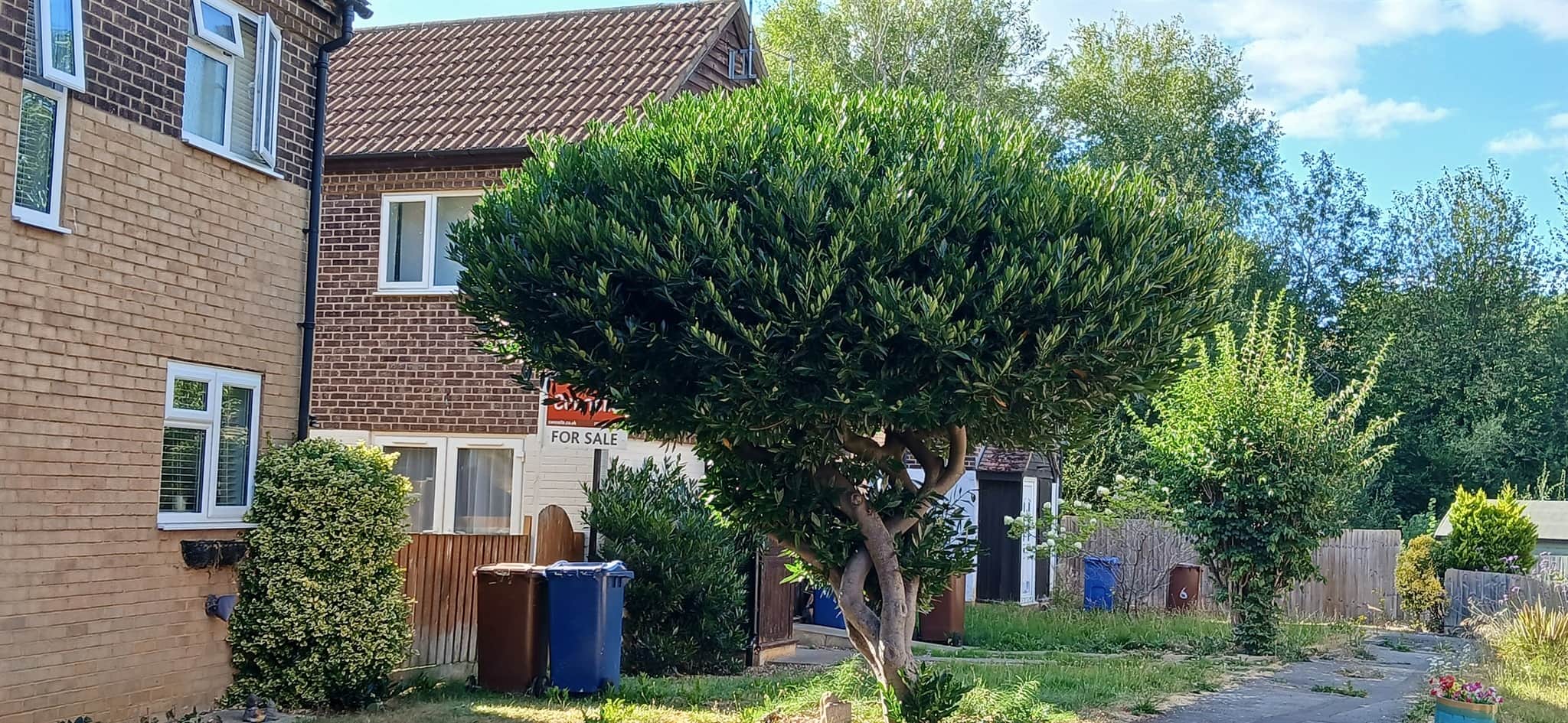 Property at Hydrangea Walk, Banbury
