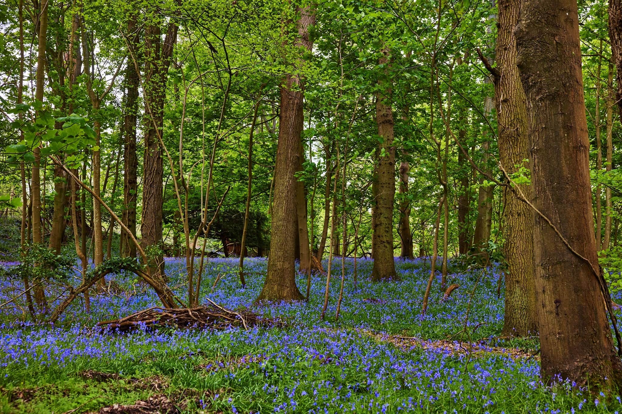 Property at Hoe Lane, North Baddesley, Southampton