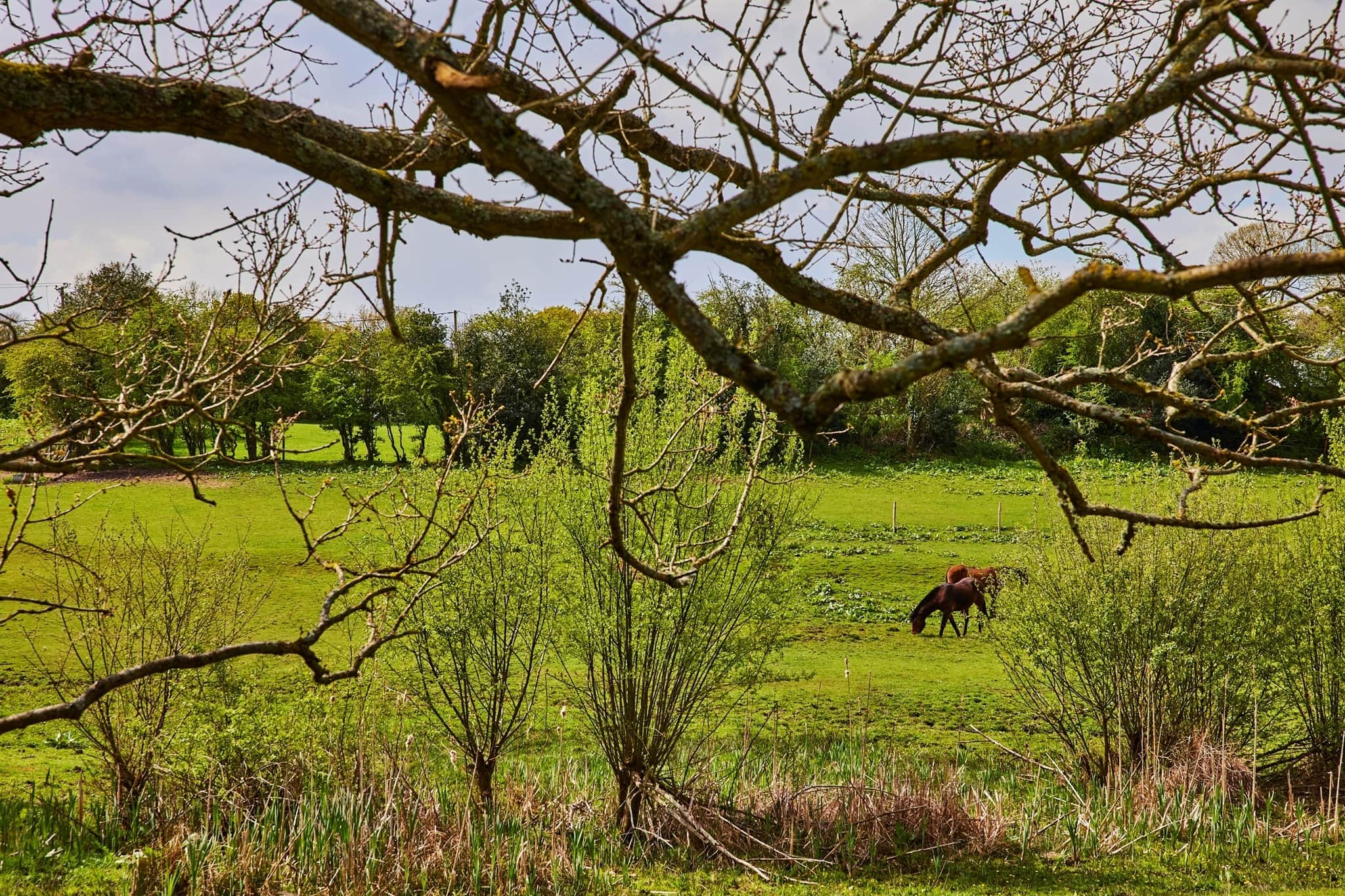 Property at Hoe Lane, North Baddesley, Southampton