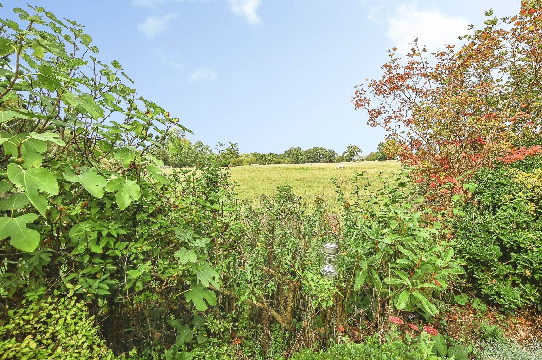 Property at Needlers End Lane, Balsall Common