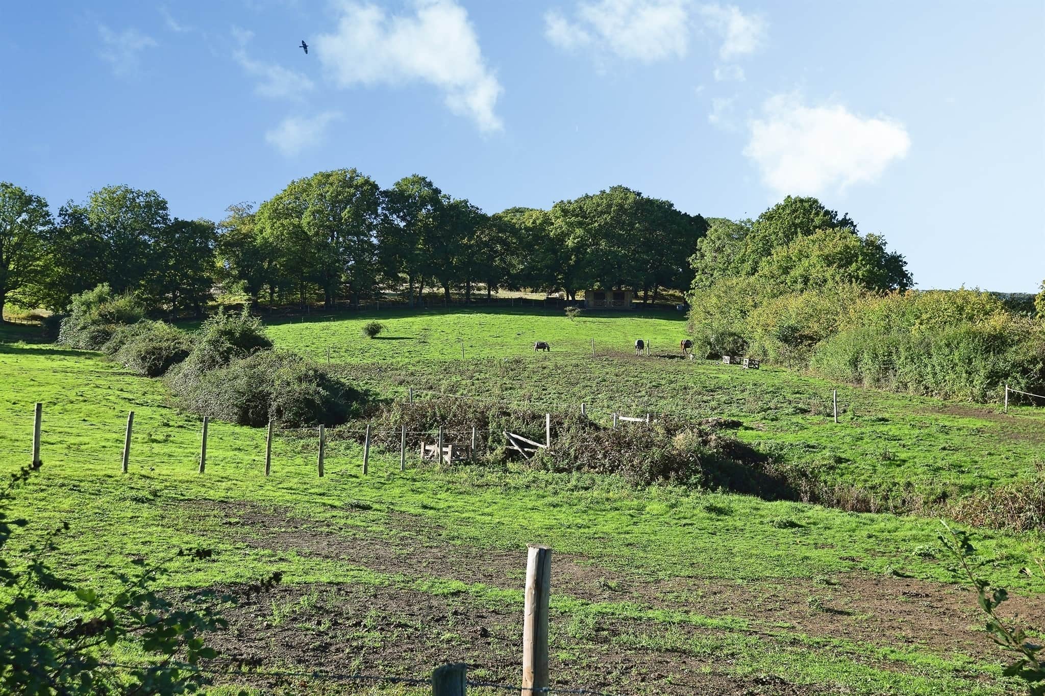 Property at Woodlands, Dargate, Faversham