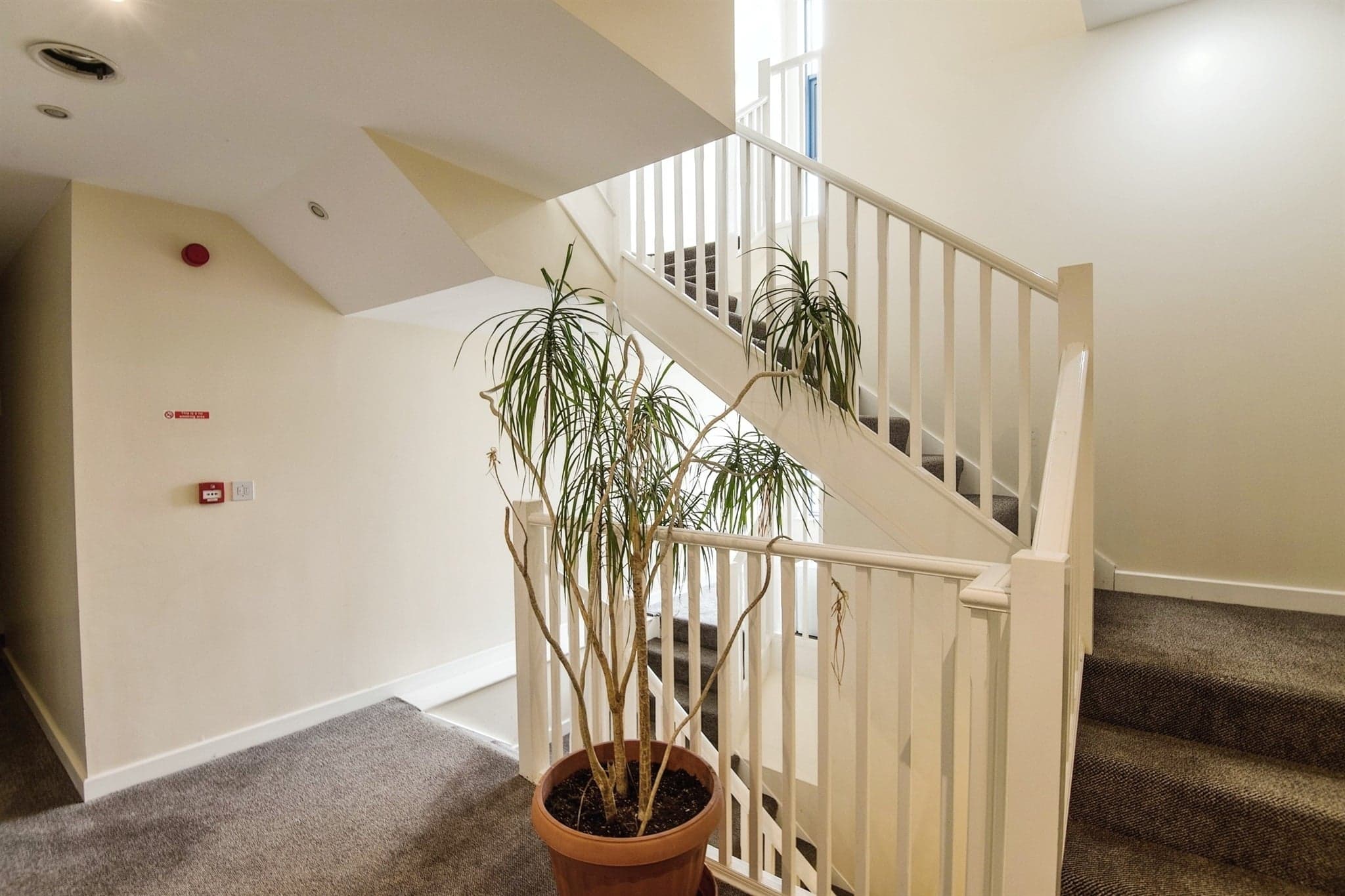 Property at Smythen Street, Exeter