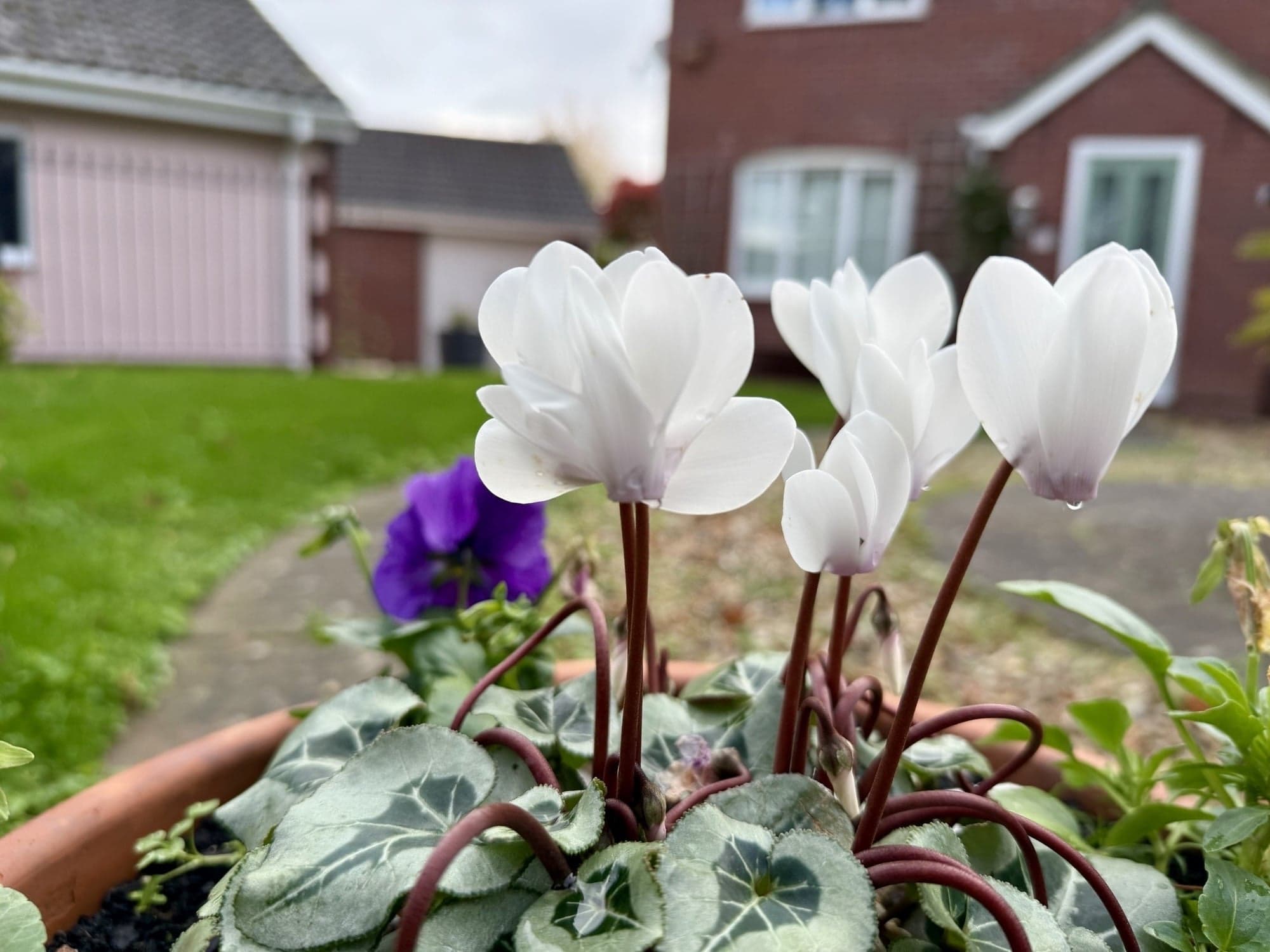 Property at Baileys Gate, Cotford St. Luke, Taunton