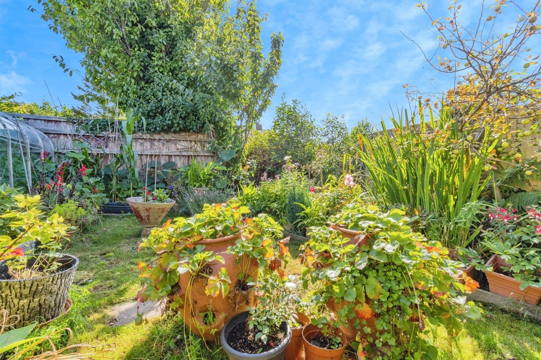 Property at Queens Crescent, Brixham