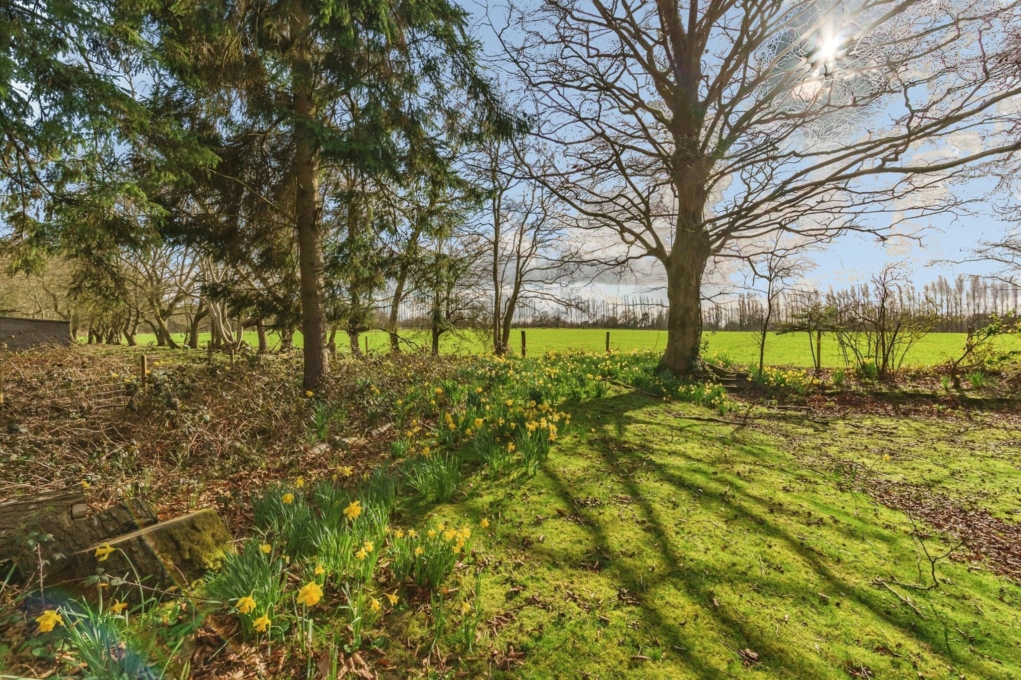 Property at St. Piers Lane, Lingfield