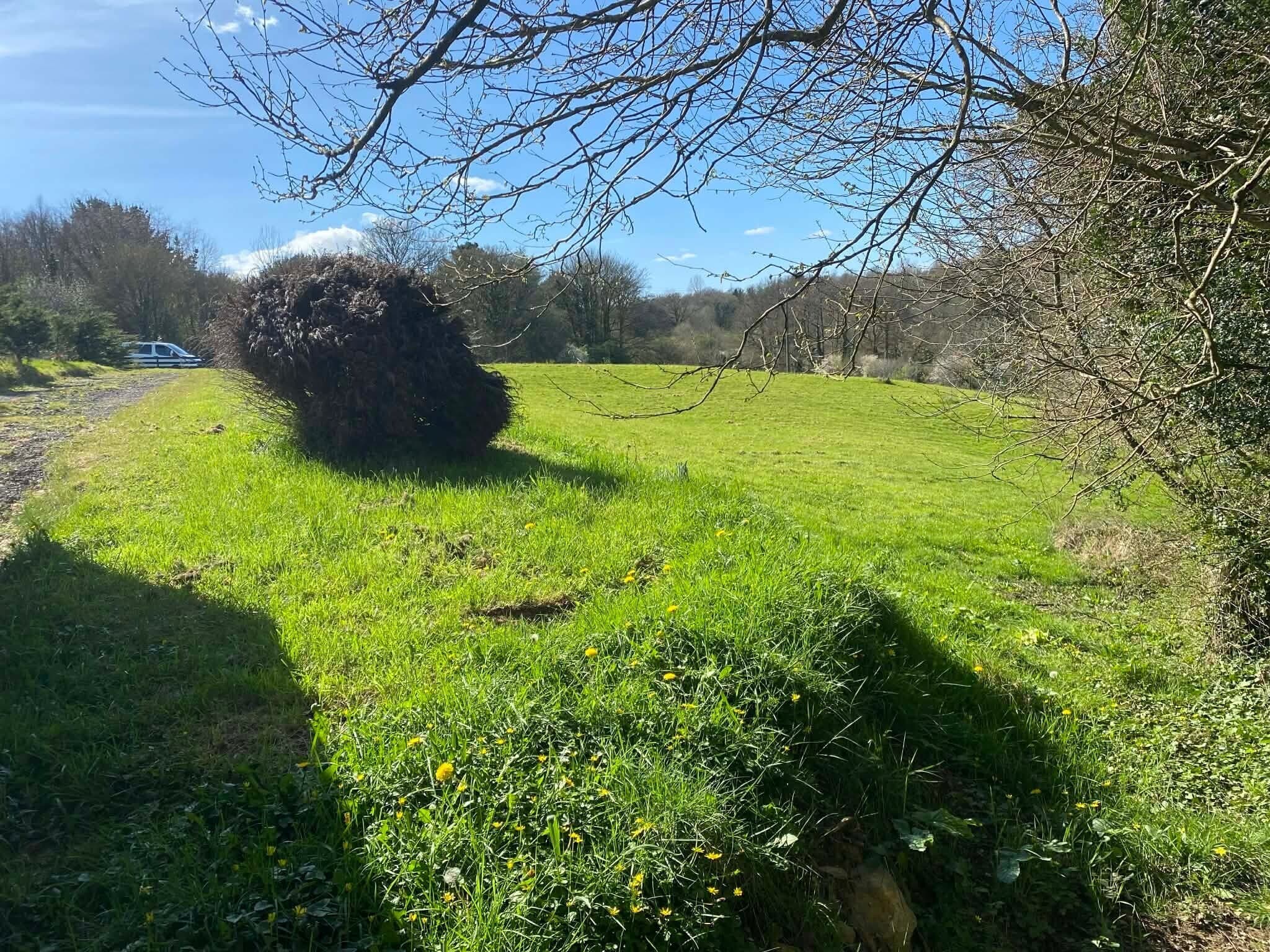 Property at Tigley, Dartington, Totnes