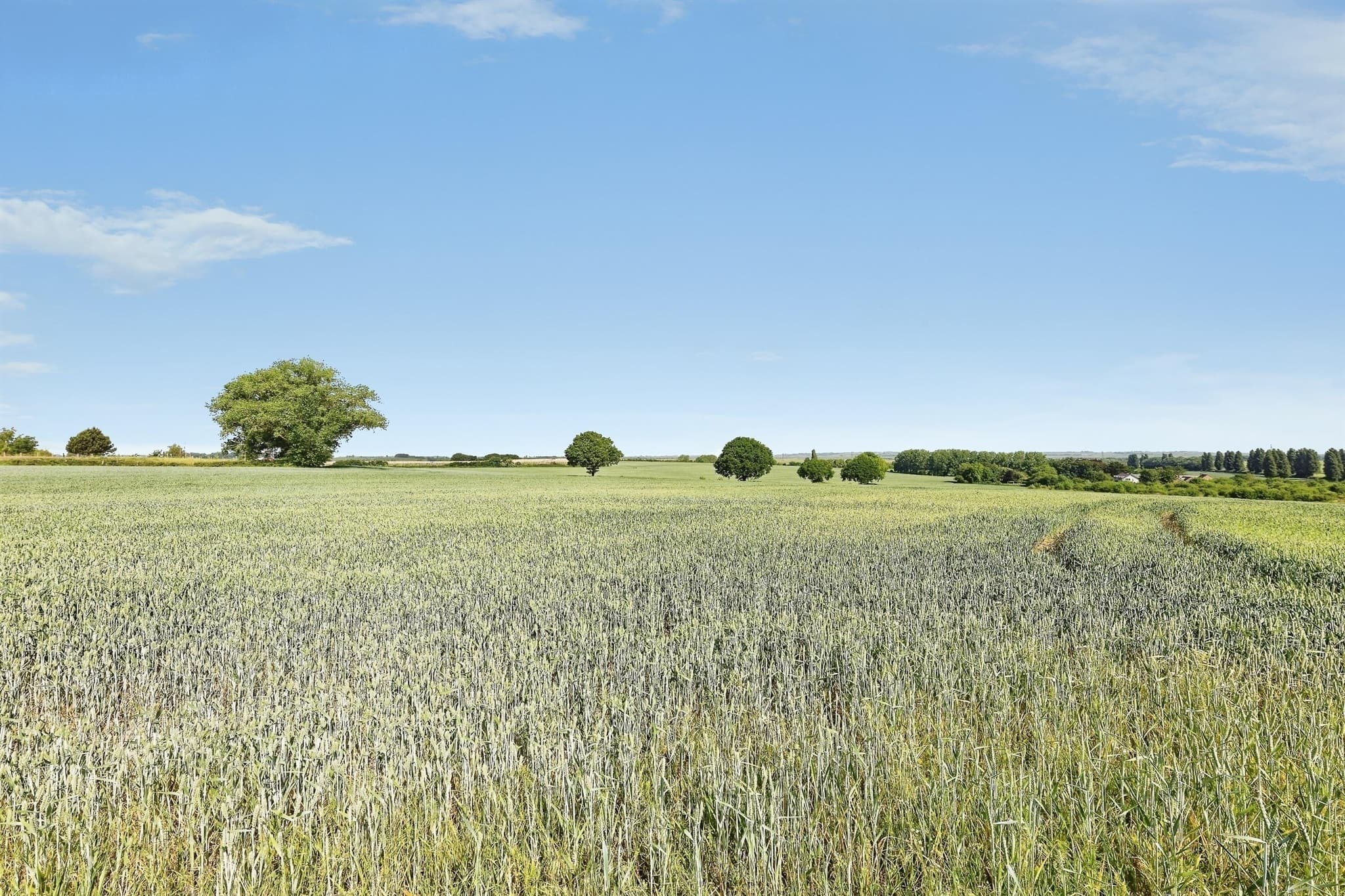 Property at Four Oaks Cottages Bysing Wood Road, Faversham