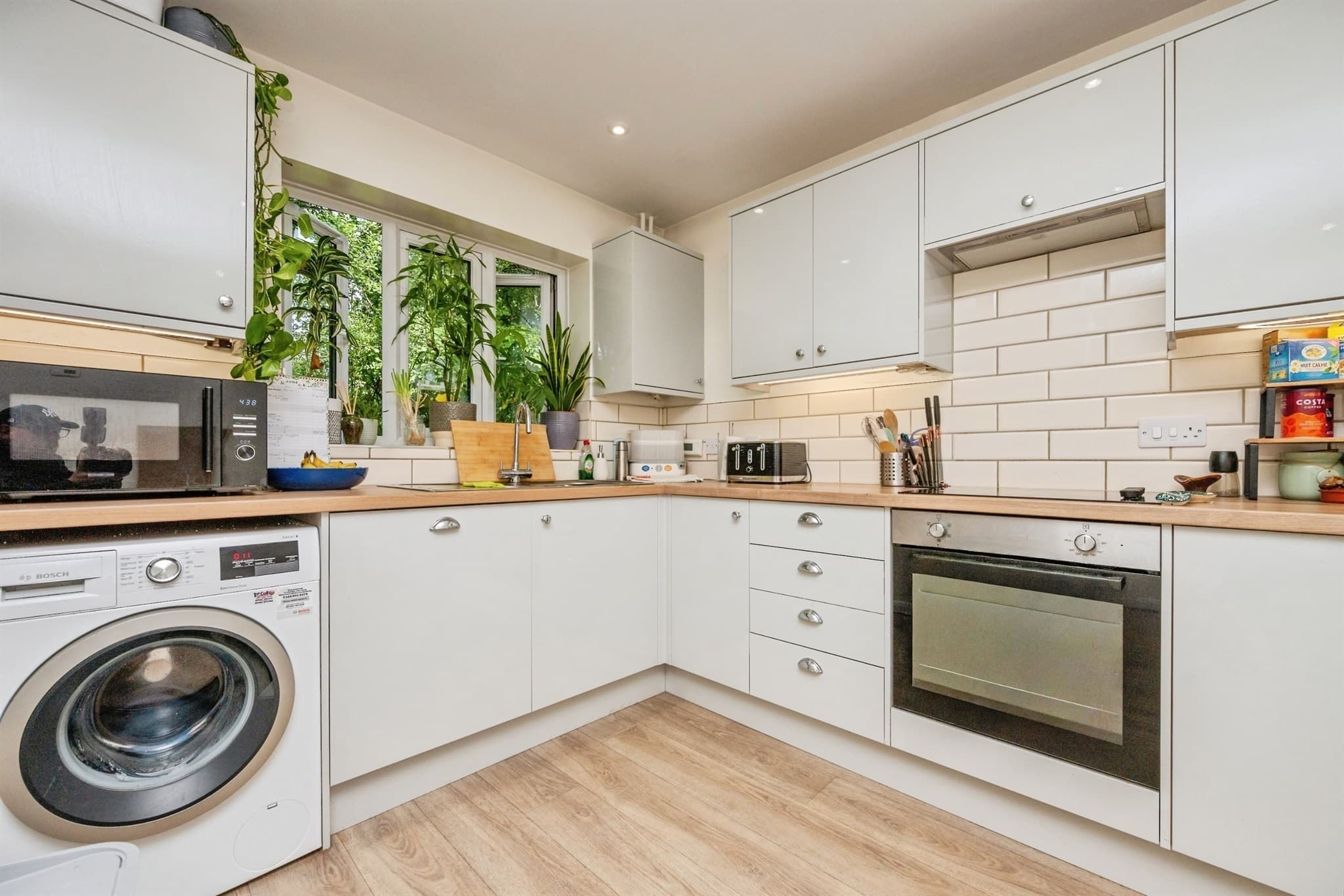 Property at Haines Avenue, Worcester